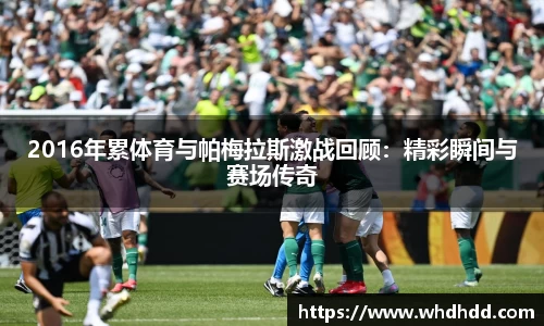 2016年累体育与帕梅拉斯激战回顾：精彩瞬间与赛场传奇